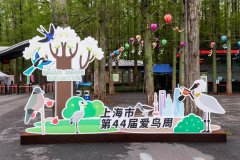 富士instax教育助力上海爱鸟周，共绘生态教育新