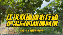 江汉联通助农行动：架起