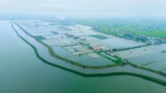 江湖之鲜 谁站“C位”？